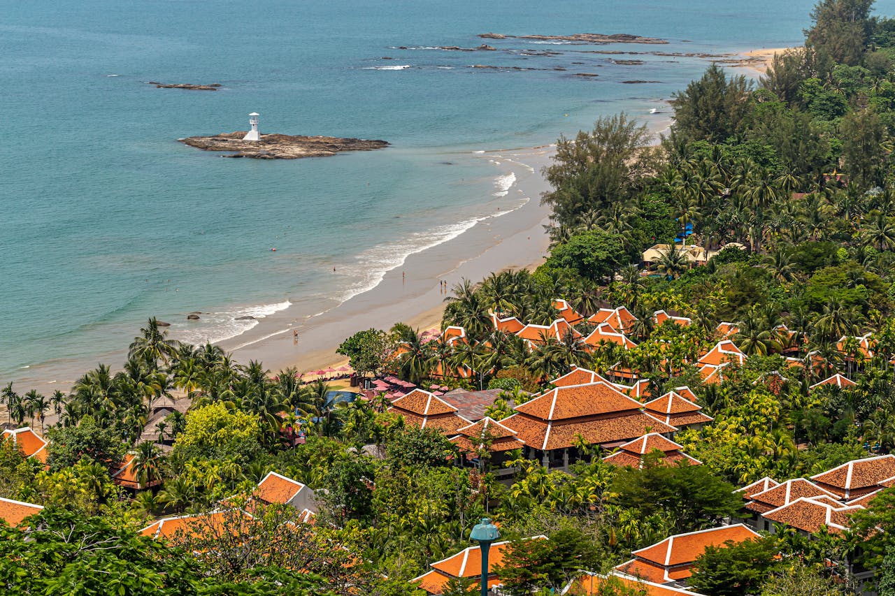 Koh Samui Palmen